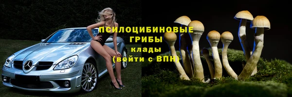 ГАЛЛЮЦИНОГЕННЫЕ ГРИБЫ Баксан