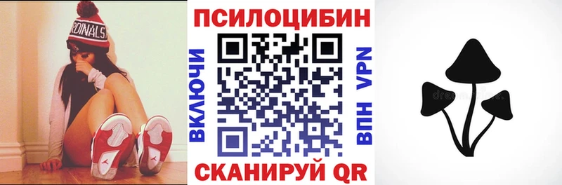 кракен зеркало  Афипский  Галлюциногенные грибы Psilocybine cubensis 